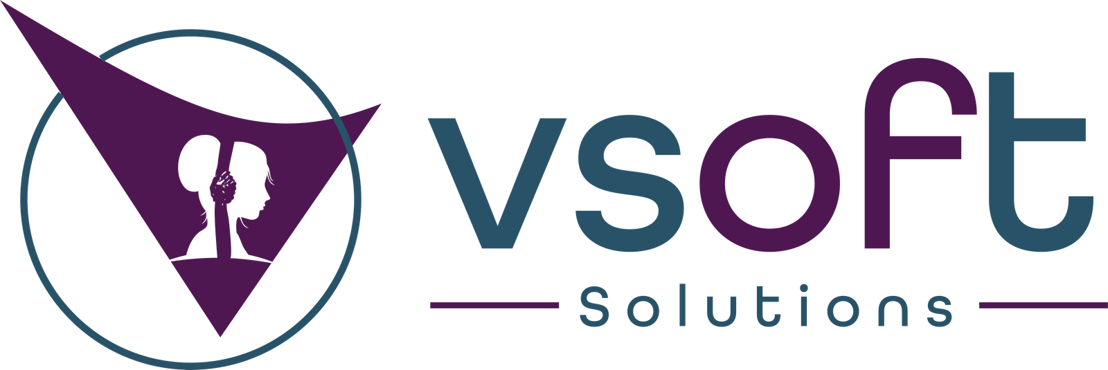 V Soft Solution Logo